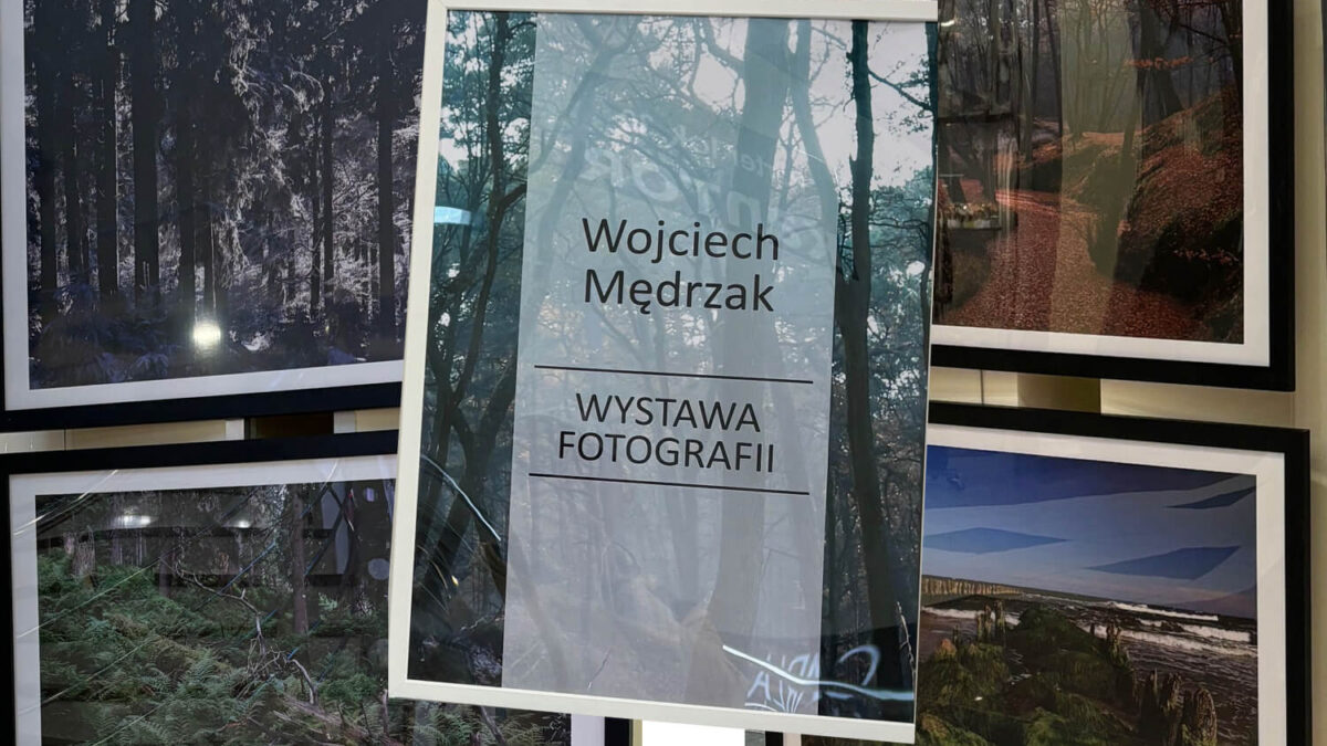 Wystawa fotografii Wojciech Mędrzak